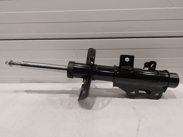 Front Suspension Strut (Left Side)